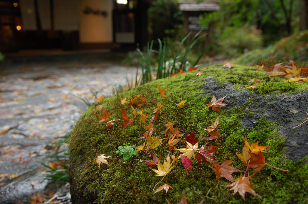 Yamamizuki Hotel Minamioguni Exterior photo